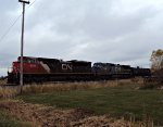 CN 8946